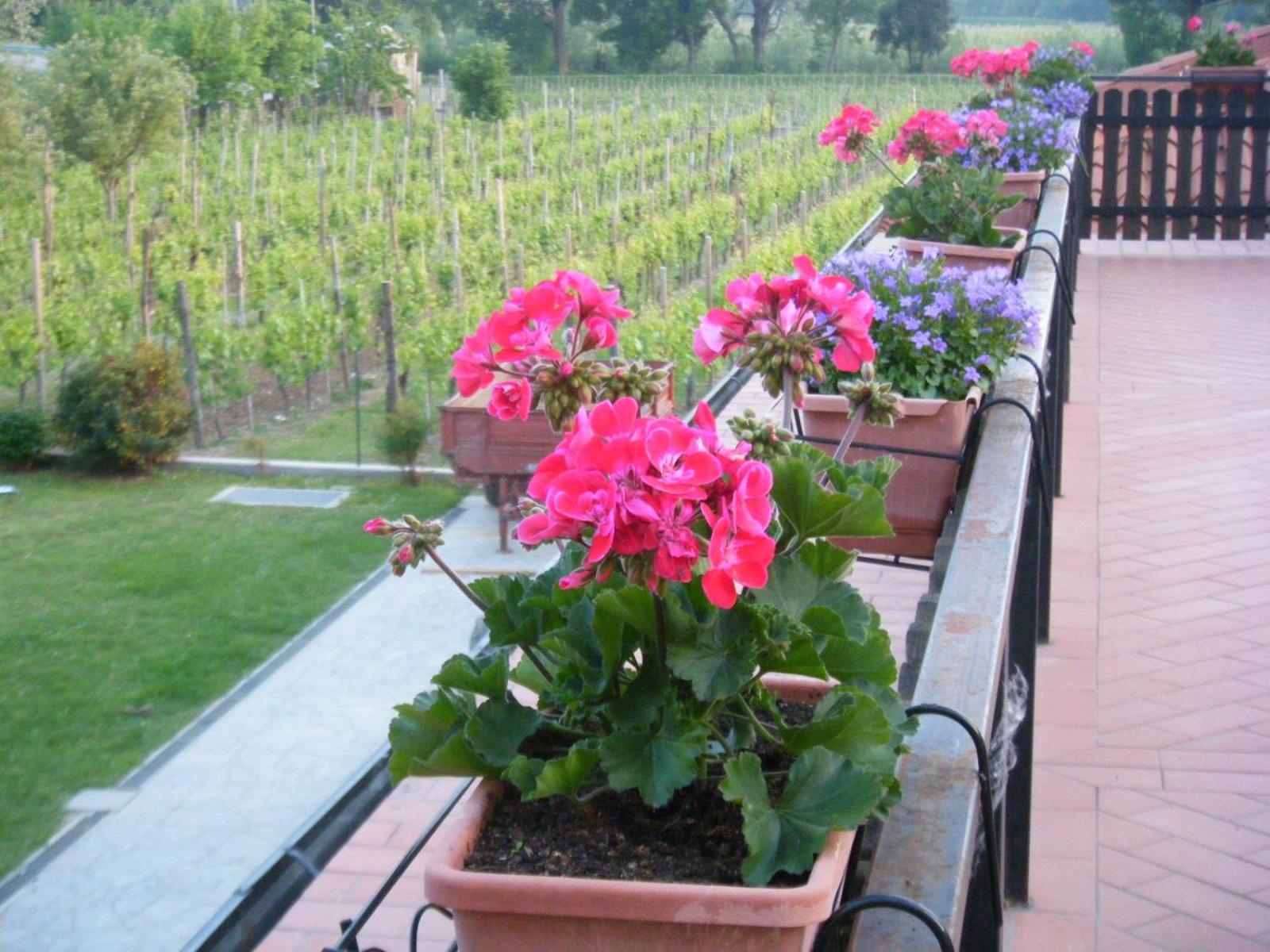 Agriturismo Grillo Iole Winery Prepotto  Esterno foto