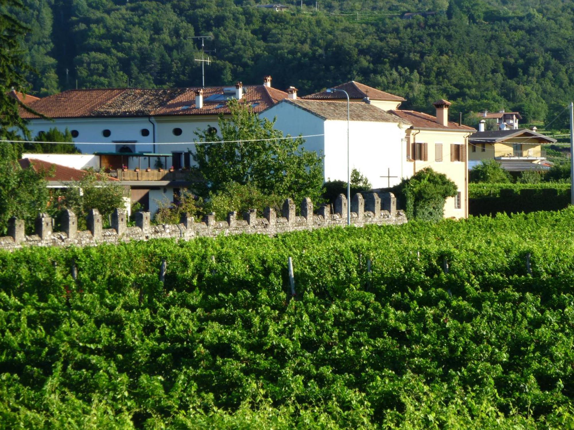Agriturismo Grillo Iole Winery Prepotto  Esterno foto